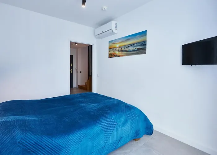 - Lividus 323 Appartement