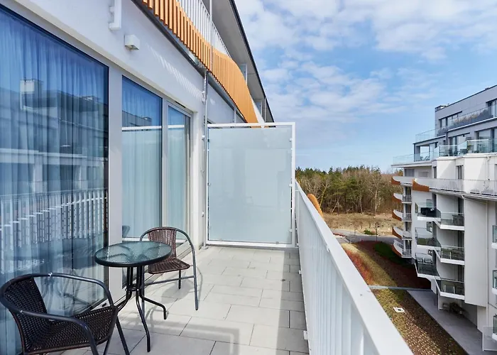 - Lividus 323 Świnoujście